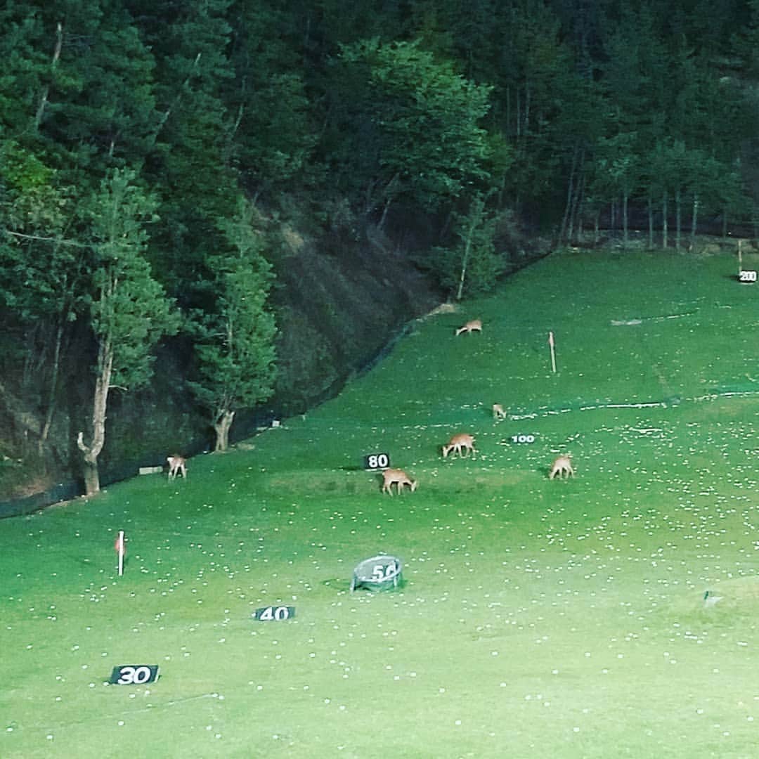 谷口キヨコのグルメインスタ