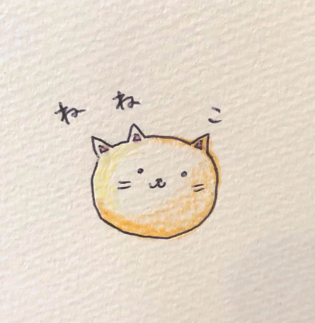 にゃんこスターさんのインスタグラム写真 - (にゃんこスターInstagram)「ねねこ  #アンゴラ絵本  #163日目  #ねこは #左耳が「ね」で #右耳が「こ」って感じします #なので「ねねこ」は #左左右です」9月7日 0時36分 - nyanco_star_pu_pu_mu