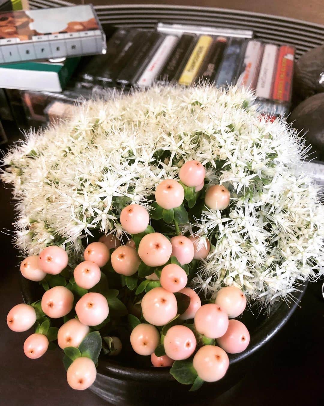 大根仁のインスタグラム：「久しぶりに作業部屋に花。枝カットの長さ間違えた。」