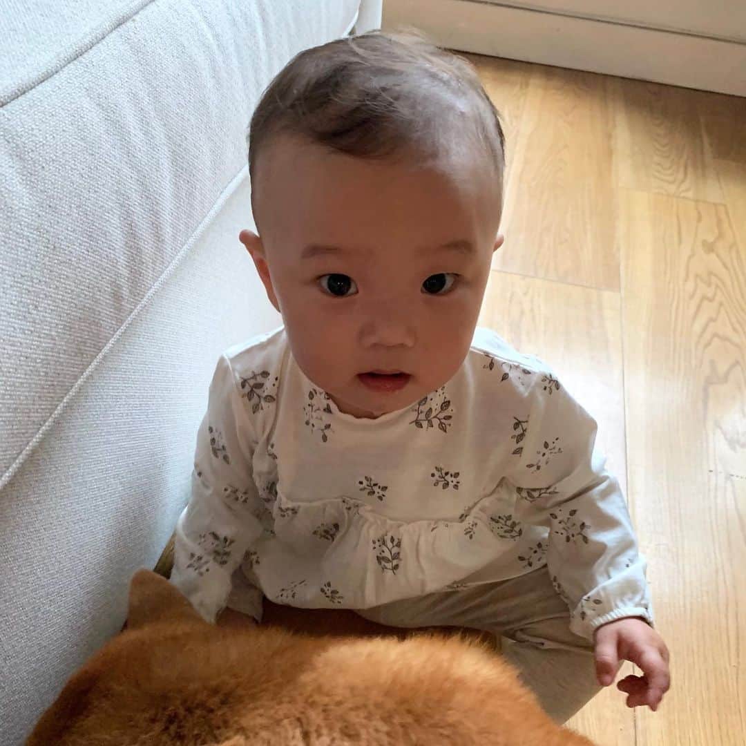 大塚良子のインスタグラム：「. 今日は娘の一才検診へ 歯が5本生えて身長は75.5cm、体重9.8kgに成長 もうフォーミュラはやめて牛乳や豆乳にシフトしても良いとのこと。早いなあ。  大好きな小次郎に付いて回ってケラケラ毎日楽しそうな娘は最近被り物にハマってて被せてと催促してくるとこがまた可愛い。 #私流ニューヨーク子育て」
