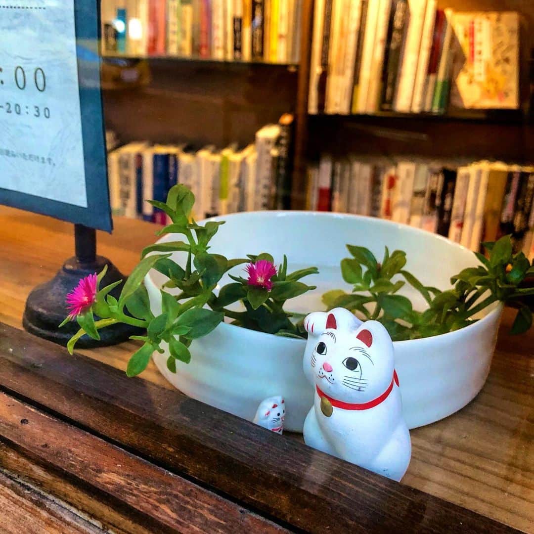 園崎未恵のグルメインスタ