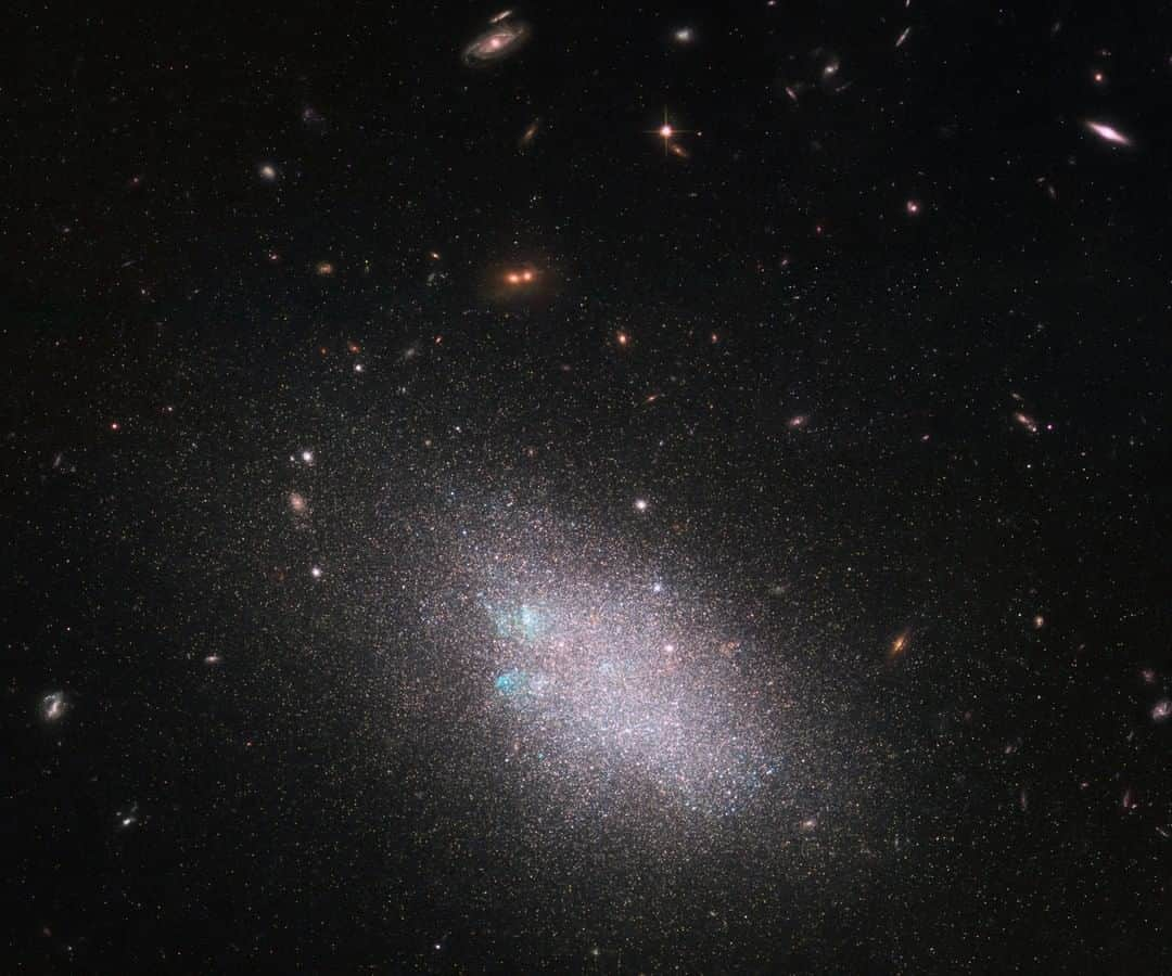 NASAさんのインスタグラム写真 - (NASAInstagram)「This image from @NASAHubble shows a dwarf galaxy named UGC 685. Such galaxies are small and contain just a tiny fraction of the number of stars in a galaxy like the Milky Way. Dwarf galaxies often show a hazy structure, an ill-defined shape, and an appearance somewhat akin to a swarm or cloud of stars — and UGC 685 is no exception to this. Classified as an SAm galaxy — a type of unbarred spiral galaxy — it is located about 15 million light-years from Earth.  These data were gathered under Hubble’s LEGUS (Legacy ExtraGalactic UV Survey) program, the sharpest and most comprehensive ultraviolet survey of star-forming galaxies in the nearby universe.  LEGUS is imaging 50 spiral and dwarf galaxies in our cosmic neighborhood in multiple colors using Hubble’s Wide Field Camera 3. The survey is picking apart the structures of these galaxies and resolving their constituent stars, clusters, groups and other stellar associations. Star formation plays a huge role in shaping its host galaxy. By exploring these targets in detail via both new observations and archival Hubble data, LEGUS will shed light on how stars form and cluster together, how these clusters evolve, how a star’s formation affects its surroundings, and how stars explode at the end of their lives.  Image credit: ESA/Hubble & NASA; the LEGUS team, B. Tully, D. Calzetti; Acknowledgment: Judy Schmidt (Geckzilla)」9月7日 10時41分 - nasagoddard