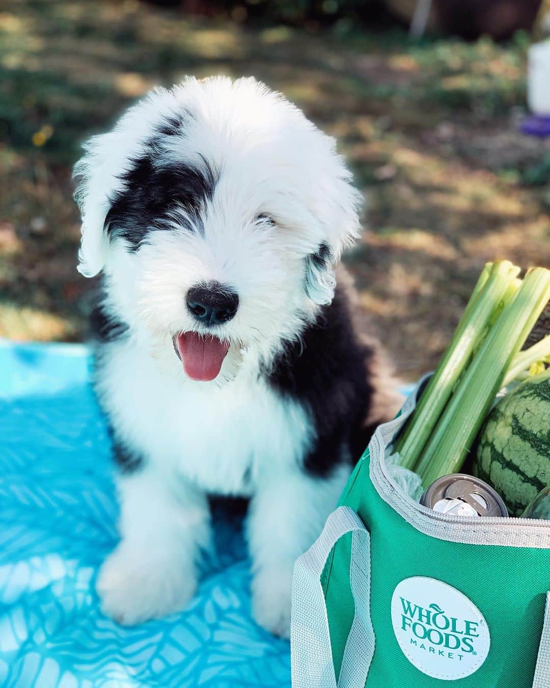 Whole Foods Marketさんのインスタグラム写真 - (Whole Foods MarketInstagram)「Hey, @the_wildrumpus. Can we join your picnic? Please? Pleeeease?」9月7日 4時47分 - wholefoods