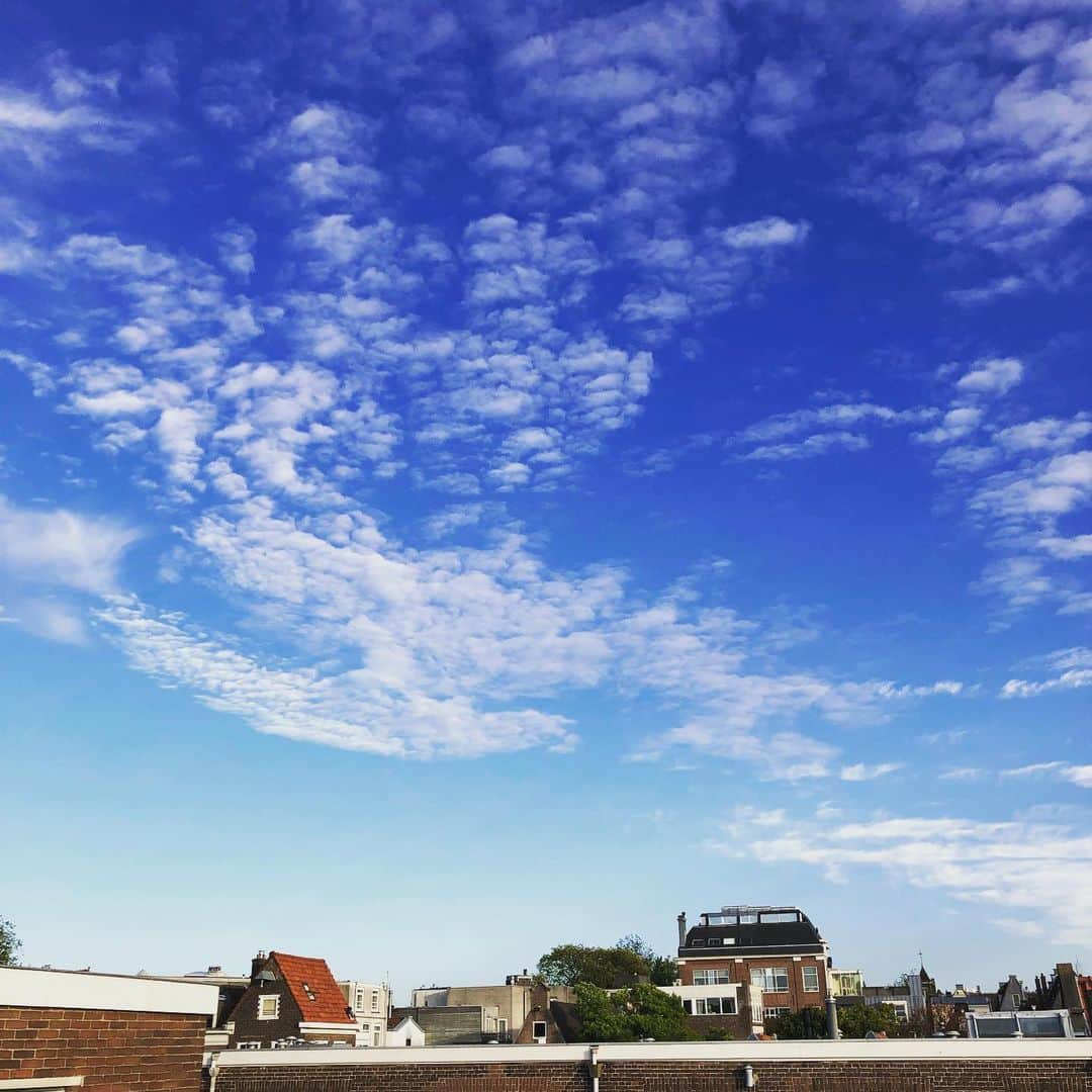 岡本至恩さんのインスタグラム写真 - (岡本至恩Instagram)「Nothing but a blue sky.」9月7日 5時52分 - seanokmt