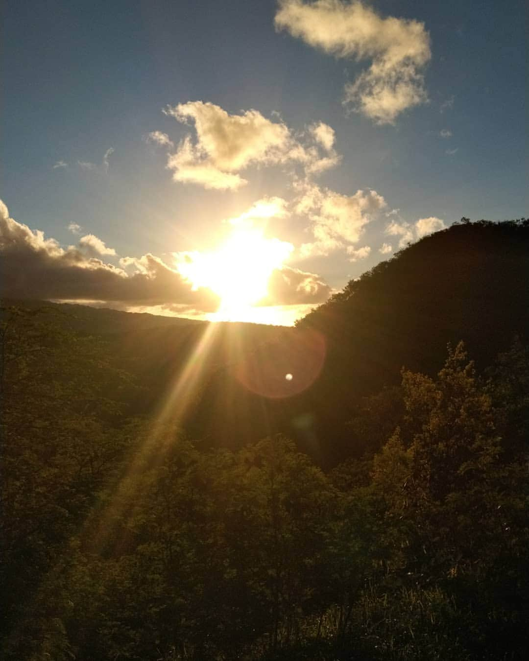 宮城夏鈴さんのインスタグラム写真 - (宮城夏鈴Instagram)「夏の朝🌅思い出‪⸜❤︎⸝‬ 5月シドニー 7月ハワイ 8月ニューヨーク  シドニーの朝日は  令和1日の朝日です！ 涙ボロボロ、節目の朝日！  9月に入ると年末に向け加速しますから、 改めて、今年の書き初めを✨✨ (靴下ダサいw寝起き3分コーデ、ダサすぎ😂) 自由！」9月7日 11時44分 - karin_karin0516