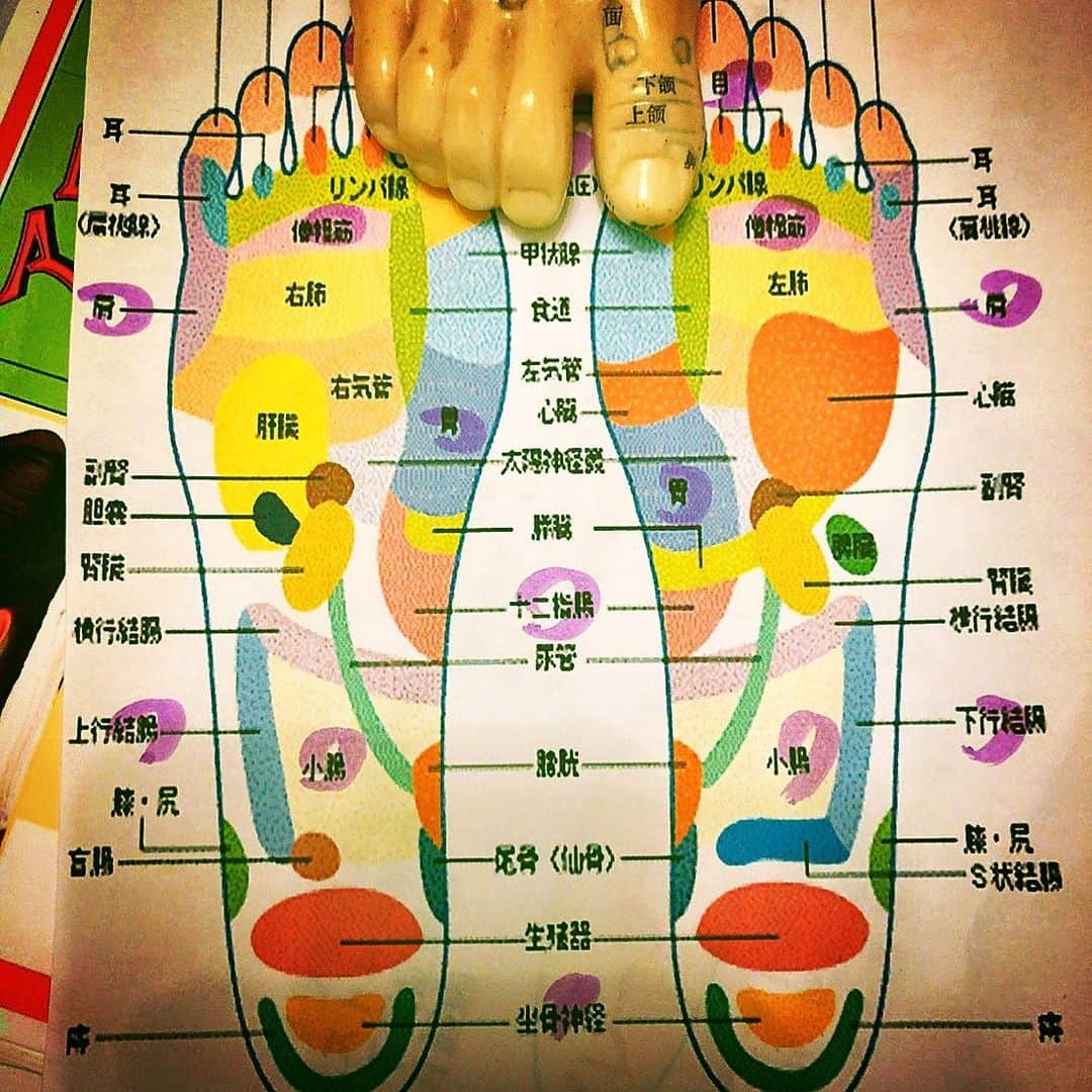 ミラクルひかるさんのインスタグラム写真 - (ミラクルひかるInstagram)「いやん？バッカん！見ないでよ！ 足つぼあるある。 カカト 痛い！っていったら ニヤッとイイ顔して 「子宮です。」 親指痛い！っていったらちょっと上から 「脳です。」」9月7日 11時45分 - miracle_hikaru_official