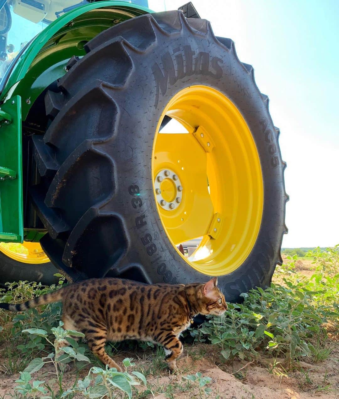 のインスタグラム：「On a mission. 🚜」