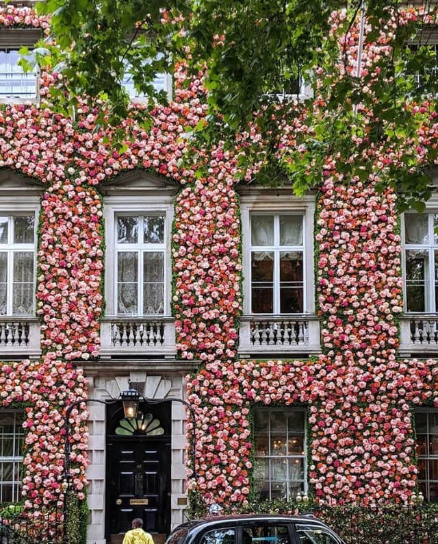 ELLE DECORさんのインスタグラム写真 - (ELLE DECORInstagram)「Falling in love with this floral facade. 🌺 #regram 📸: @margarita_karenko #London」9月7日 7時00分 - elledecor