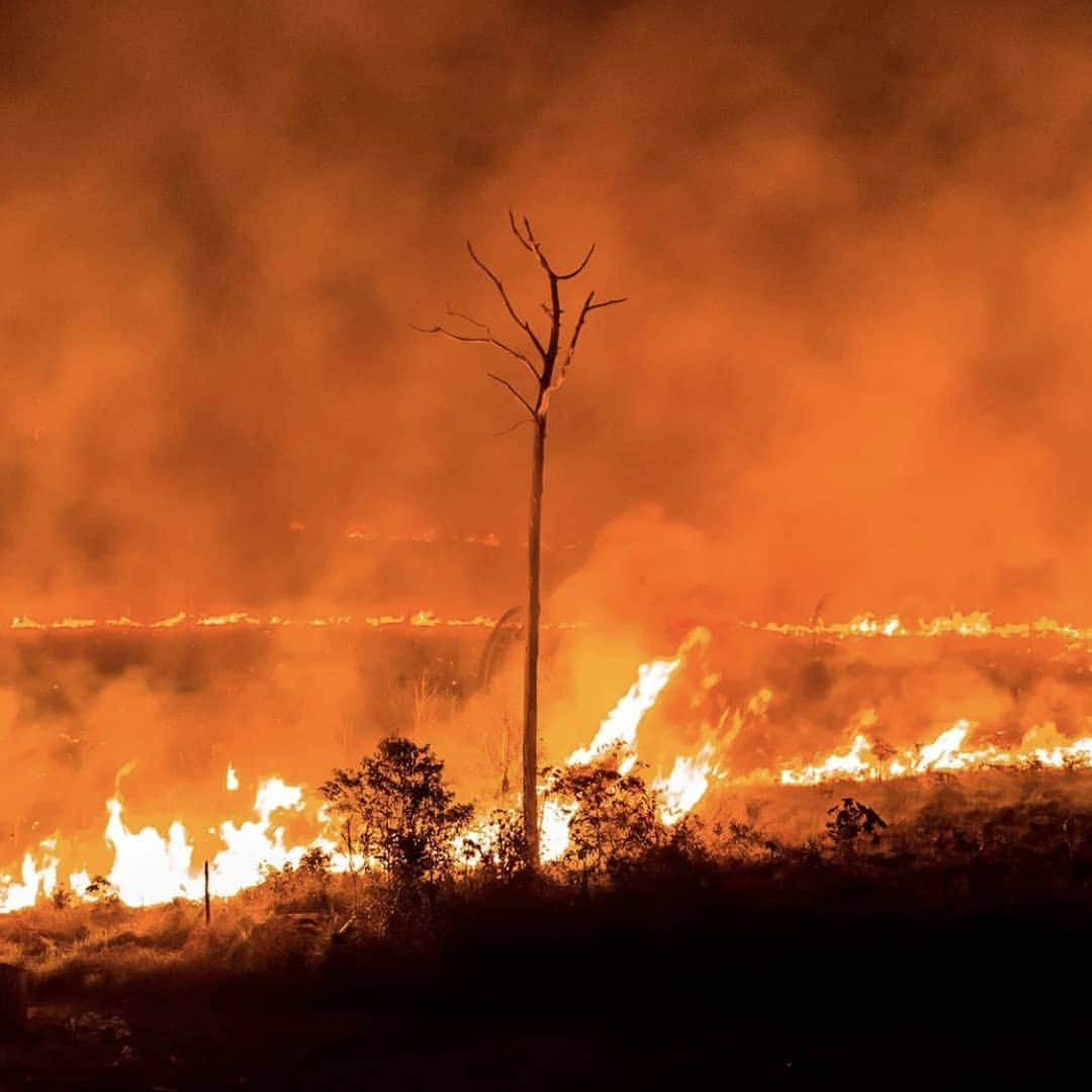 アダム・レヴィーンさんのインスタグラム写真 - (アダム・レヴィーンInstagram)「Over the last couple weeks, there have been a staggering number of environmental disasters occurring around the world. It is now more important than ever to step up and help! The President has recently proposed huge cuts in aid to disaster relief; we are making donations and asking you to help us improve the health of our planet overall! Head to the link in my bio to donate to Amazon Conservation. Support the Red Cross Disaster Relief Fund to help the Bahamas and Carolinas with their efforts to combat Dorian. People around the world need our help!」9月7日 7時30分 - adamlevine