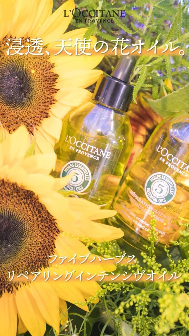 L'OCCITANE en Provenceのインスタグラム