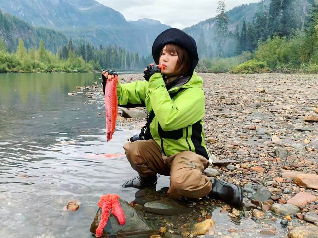 秋丸美帆さんのインスタグラム写真 - (秋丸美帆Instagram)「子グマ現る🧸 . #canada #britishcolumbia #kitimat #kitimatlodge #salmon #coho #silversalmon #fishing #trip #fish #river #nature #naturephotography #lurefishing #カナダ #ブリティッシュコロンビア #キティマト #シルバーサーモン#サーモン #コーホーサーモン #銀鮭 #鮭 #釣り #🇨🇦 #熊 #いくら #みっぴのもぐもぐシリーズ」9月7日 19時23分 - mippy34