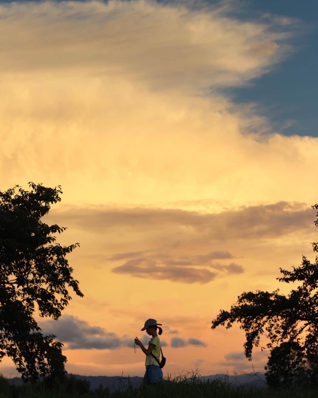 shin_goのグルメインスタ