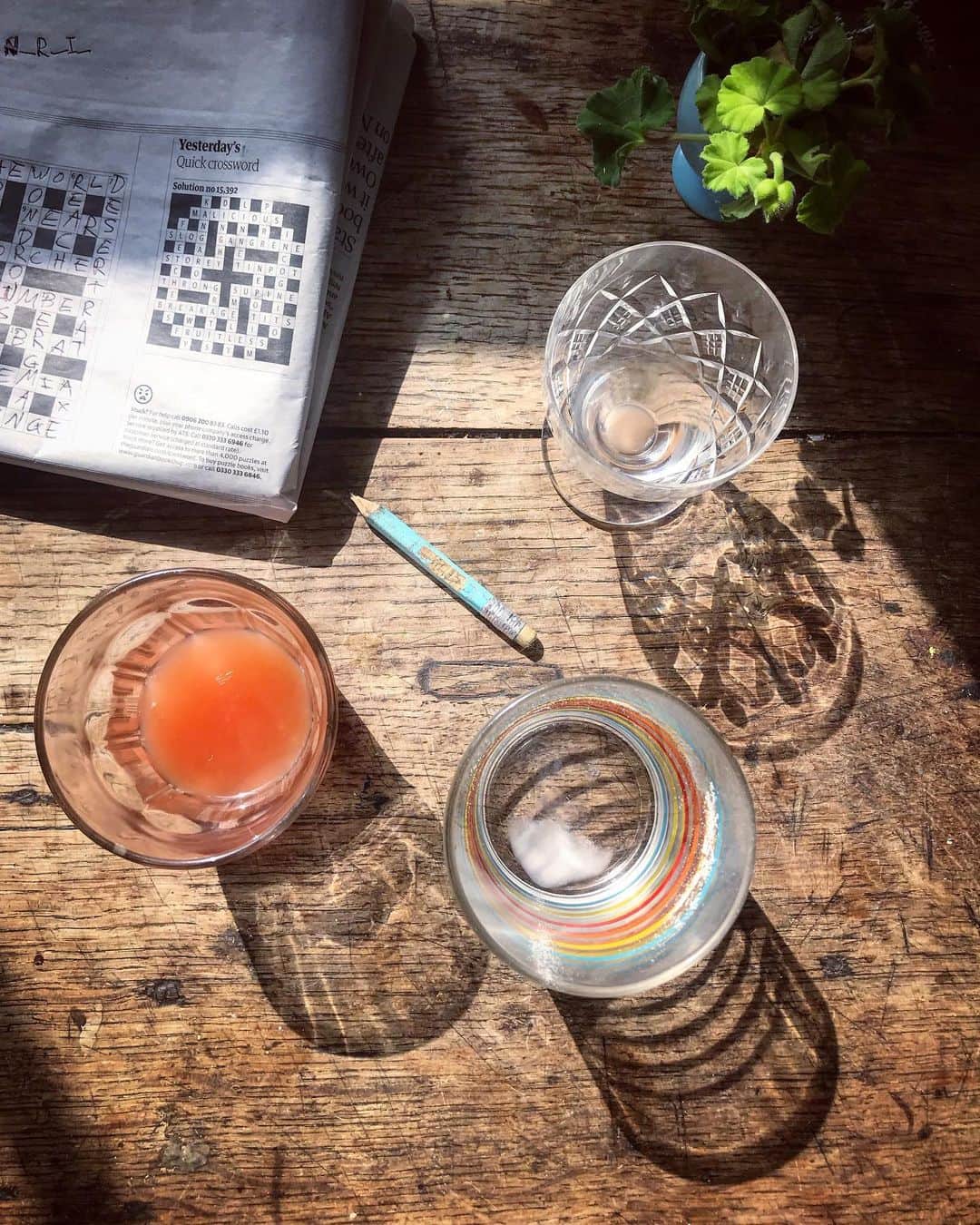 Tea and sittingのインスタグラム：「September shadows... 🖤✨ #inpraiseofshadows」