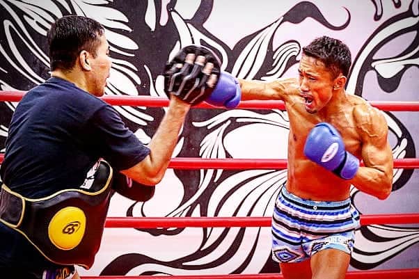 梅野源治のインスタグラム：「😤👊 #血管 #このストレートで倒しましょうか #RISE #kickboxing」