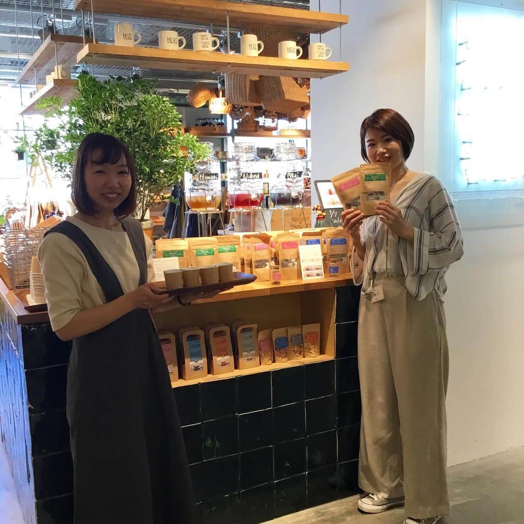 のインスタグラム：「<MARKET-Kobe>本日神戸店ではハワイの人々のライフスタイルから「自然体でいる時間」をコンセプトに ボディケアやハーブティーを展開する'ala Lehua さん(@alalehua )にお越し頂きハーブティの試飲販売会を開催しています。 ハワイでしか生息していない貴重なハーブ「ママキ」を使用したハーブティはゴクゴクと飲みやすく 見た目も色鮮やかで涼しい色合いなので今日みたいな暑い日にはアイスティーで飲むのもオススメですよ。 是非この機会にお試しくださいね。 #todaysspecial #トゥデイズスペシャル #kobebal #神戸bal #alalehua #ハワイアンハーブティ」