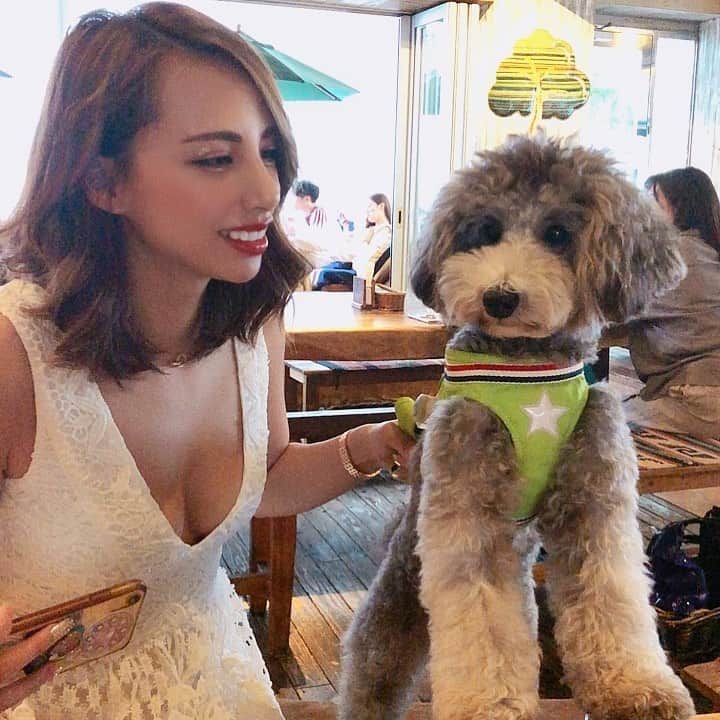 チャベス愛のグルメインスタ