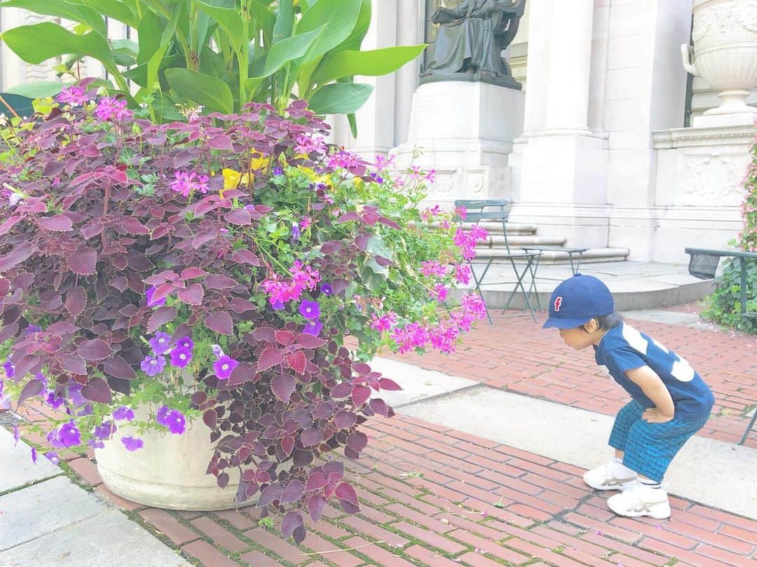 白渚すずさんのインスタグラム写真 - (白渚すずInstagram)「Talk with flowers ⁉︎ ・ 最近よく話します。 ただし…何を言っているかわからない宇宙会話多し。 でも、それが可笑しくて、可愛くて…♡ 今しかない時間だなぁって毎日思う。 ・ #flowers #garden #babyboy #bryantpark #ny #nyc  #花 #男の子 #男の子ママ  #ブライアントパーク #ニューヨーク」9月7日 12時08分 - suzubell_44
