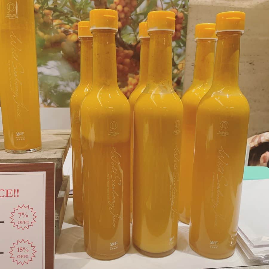 宮前真樹さんのインスタグラム写真 - (宮前真樹Instagram)「#oilinlifeexpo  OILINLIFE2019 今年も盛り沢山でした！  centonzeのオリーブオイルと そのオリーブオイルを贅沢使いしたシャンプー 北海道自然栽培のシーベリー エラスチン美容ソイオイル インソーレのフラワーオイル ロシア産の蜂蜜 入り口にはGOHOUBI COOKIES 私の好きなものと気になったもの 他にも沢山の素敵商品に出会いました。  あまり時間がなくて駆け足だったのが悔やまれる！ 会場では仲良しメンバーにも会えて ぎゅぎゅっと濃く楽しい時間でした♡ 写真は脂質栄養学の先生でもある地曳直子さん なおちゃん先生のオイル話は勉強になる でもいつもはただの飲兵衛仲間笑 #オイルエキスポ  #脂質栄養学 #centonze #チェントンツェ  #クレンジングシャンプー」9月7日 12時20分 - miyamaemaki0116