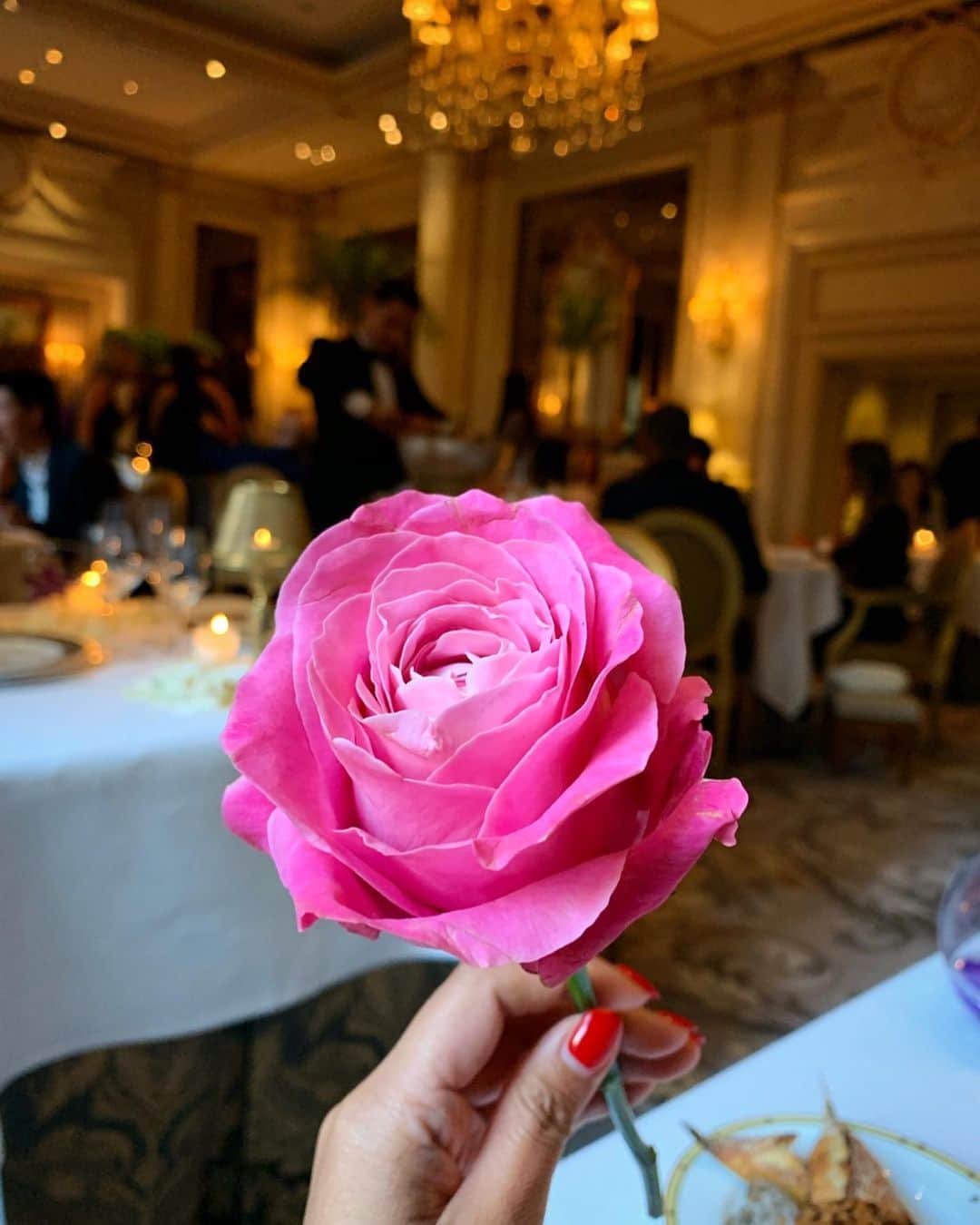 森友里恵さんのインスタグラム写真 - (森友里恵Instagram)「パリの思い出🇫🇷 このバラはご飯食べてたらここのウェイトレスの男性がくれました🌹😂 お花を渡す文化って素敵！ 日本人の人真似してほしい😂って思うところ😂💕 私はお花が好き🌸💐だから貰ったらめっちゃ嬉しい派‼️😂💕❤️☺️🤴笑  #ゆりえのパリ日記 #パリ旅行 #fourseasonsparis  #lecinq  #paris」9月7日 12時15分 - yucrebie