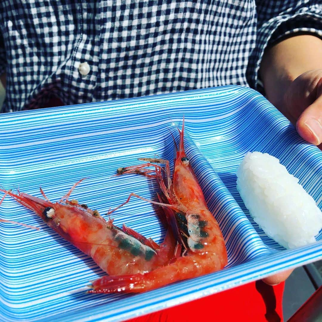 南早苗さんのインスタグラム写真 - (南早苗Instagram)「甘エビ🦐殻を剥くとキラキラ。金沢甘エビまつりで購入しました！今日、かなざわ総合市場で午後2時まで開催していますよ！ #甘エビ #金沢 #底引き網漁解禁 #宝石箱や〜 #あまーい #とろーん #プリップリ #つまみ食い  #金沢甘エビまつり」9月7日 12時32分 - minamisanae