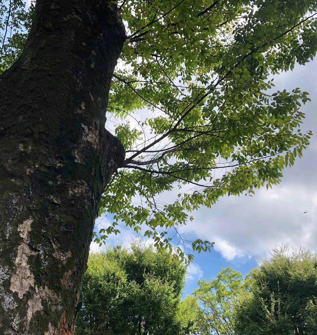 Kensho Onukiのグルメインスタ