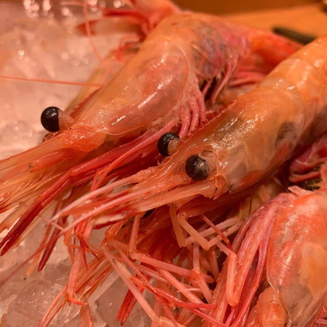 浪花ろばた 頂鯛 北新地店のグルメインスタ