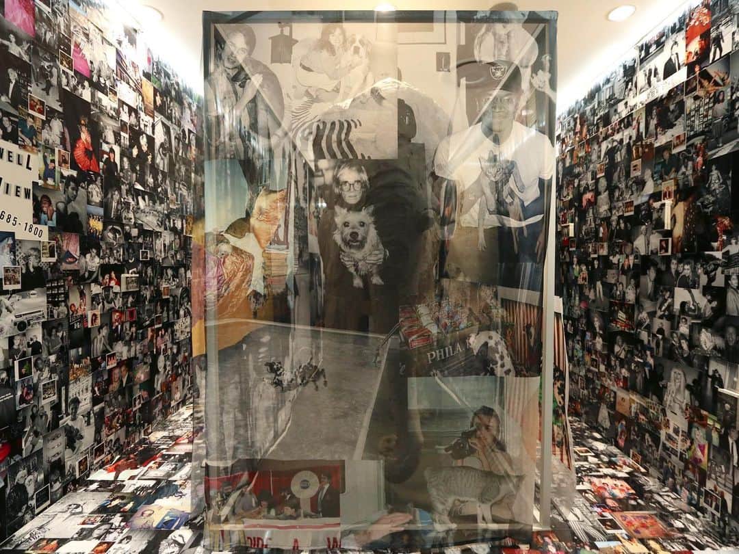 DOVER STREET MARKET GINZAさんのインスタグラム写真 - (DOVER STREET MARKET GINZAInstagram)「Paige Powell “Beulah Land” Installation powered by Gucci is now available Dover Street Market 1F Ginza Elephant Space @paigepowellofficial @Gucci @doverstreetmarketginza #paigepowell #doverstreetmarketginza #beulahland #gucci #DSMG」9月7日 15時30分 - doverstreetmarketginza
