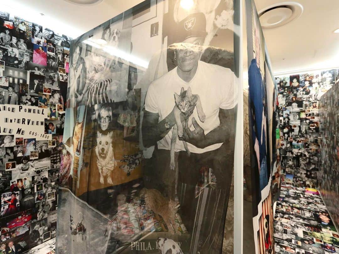 DOVER STREET MARKET GINZAさんのインスタグラム写真 - (DOVER STREET MARKET GINZAInstagram)「Paige Powell “Beulah Land” Installation powered by Gucci is now available Dover Street Market Ginza 1F Elephant Space @paigepowellofficial @Gucci @doverstreetmarketginza #paigepowell #doverstreetmarketginza #beulahland #gucci #DSMG」9月7日 15時30分 - doverstreetmarketginza