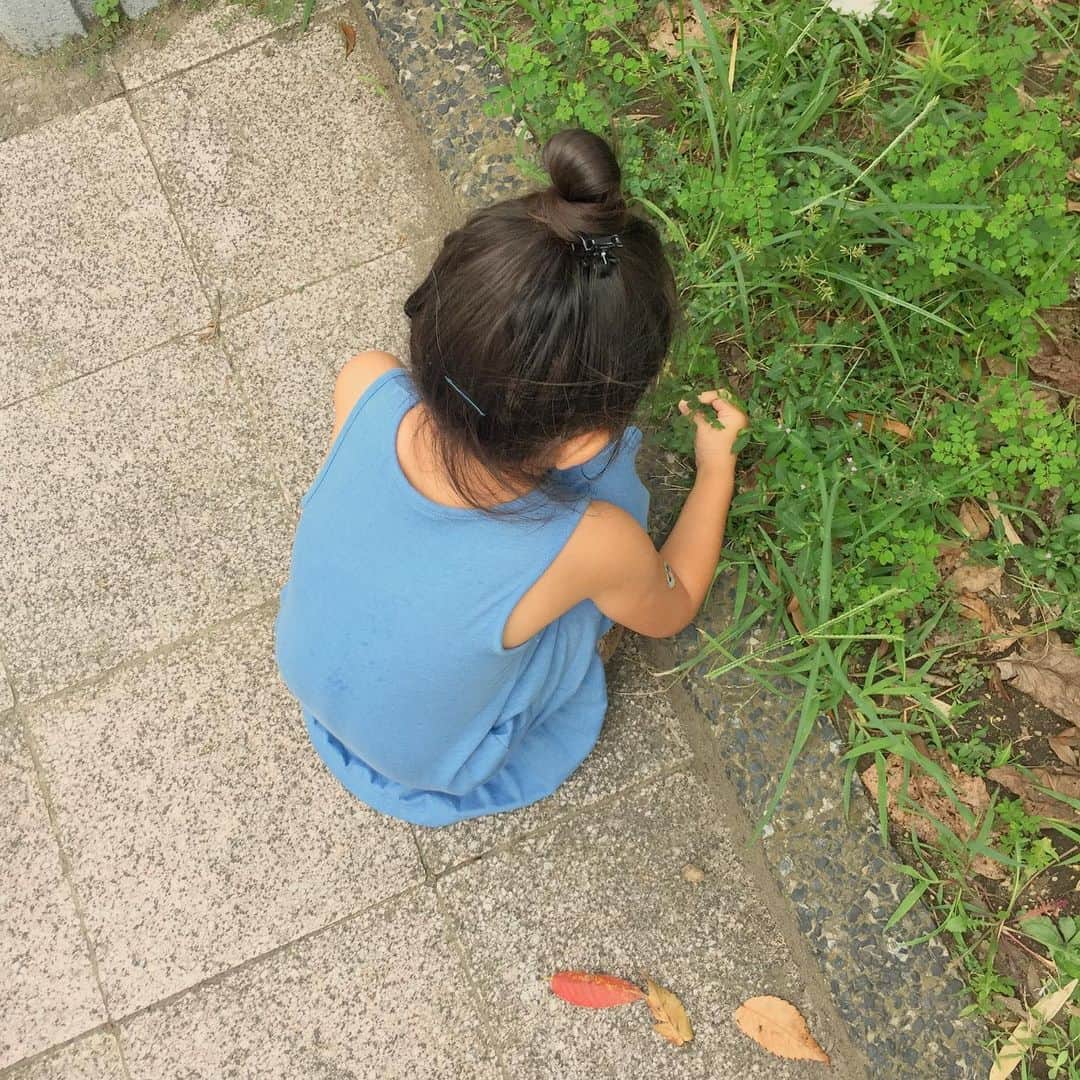 山根良顕さんのインスタグラム写真 - (山根良顕Instagram)「ここでとった草をプレゼントしてくれますw 価値観が、ブレますw」9月7日 16時14分 - ungirls_yamane