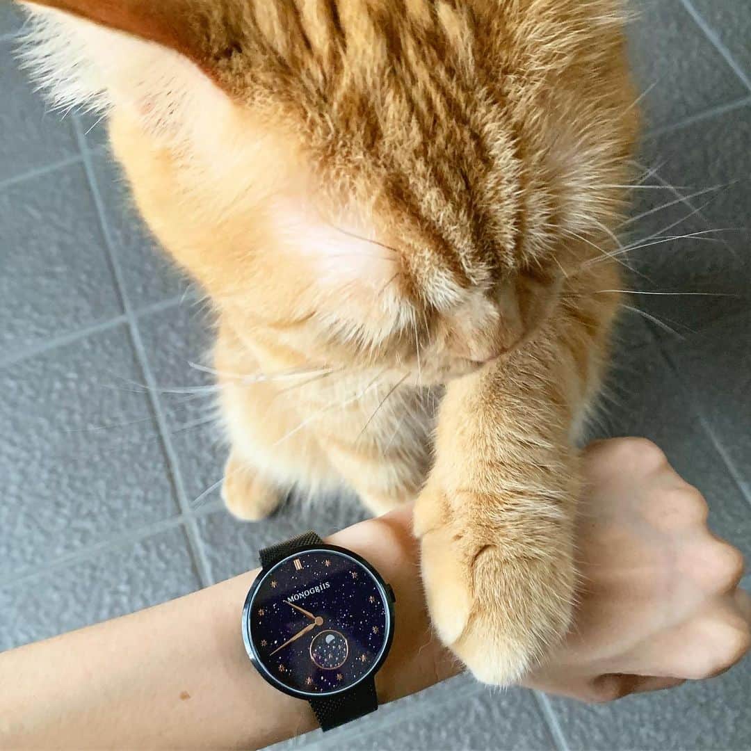 michikoのインスタグラム