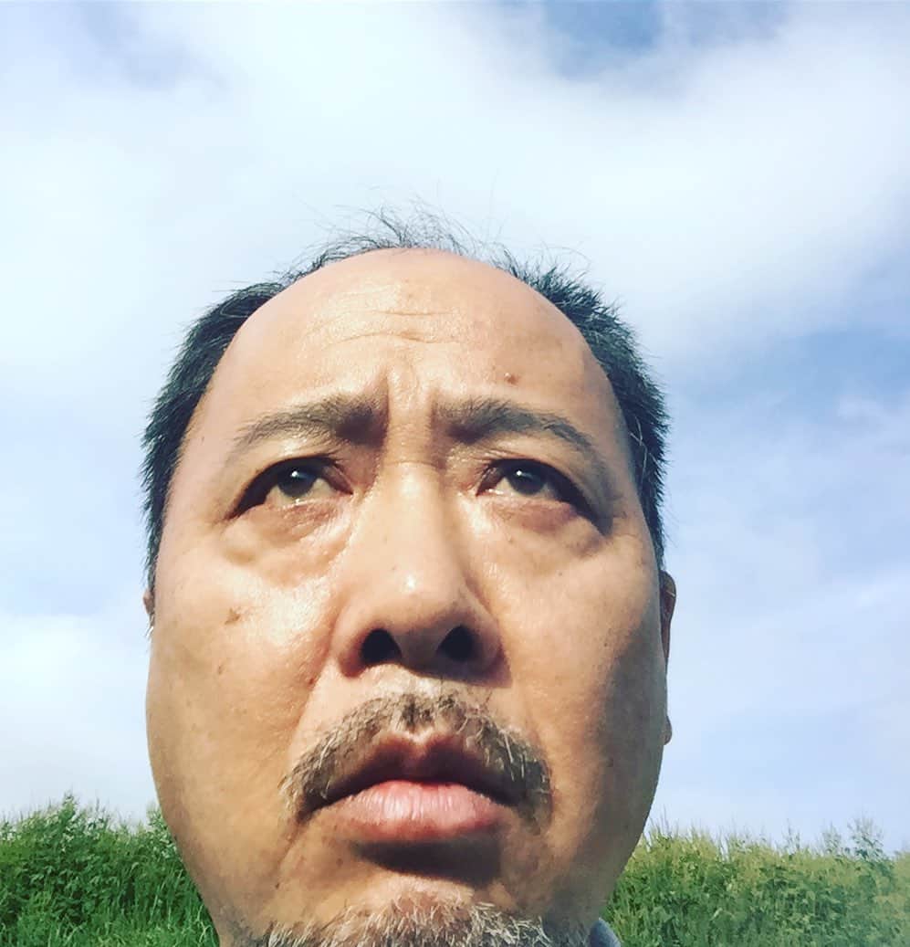 のインスタグラム：「草むらのオブジェ」