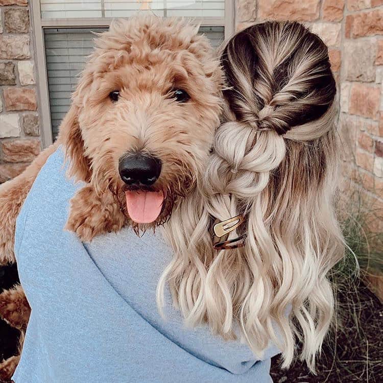 I N S T A B R A I Dのインスタグラム：「Because there is no such thing as too many dog and braid pics 🐶🥰」