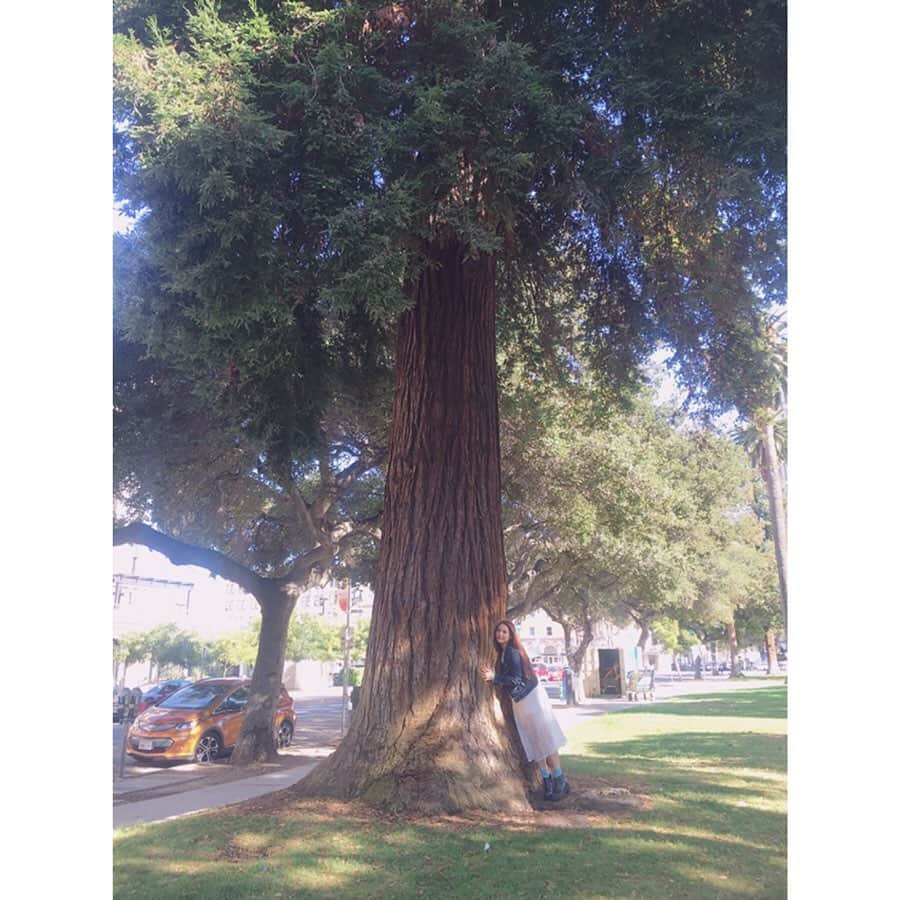 田野アサミさんのインスタグラム写真 - (田野アサミInstagram)「Last San Jose✨🌲☀️🇺🇸。 大きな大きな木。 私よりも長い人生この場所に根を張り生きる木。 大先輩とハグ🌲笑。 沢山のpowerをありがとうSan Jose！！！またね👏🏻✨ #SanJose#California#田野アサミ 街並み全てが絵になる🖼。」9月7日 21時12分 - tano_asami