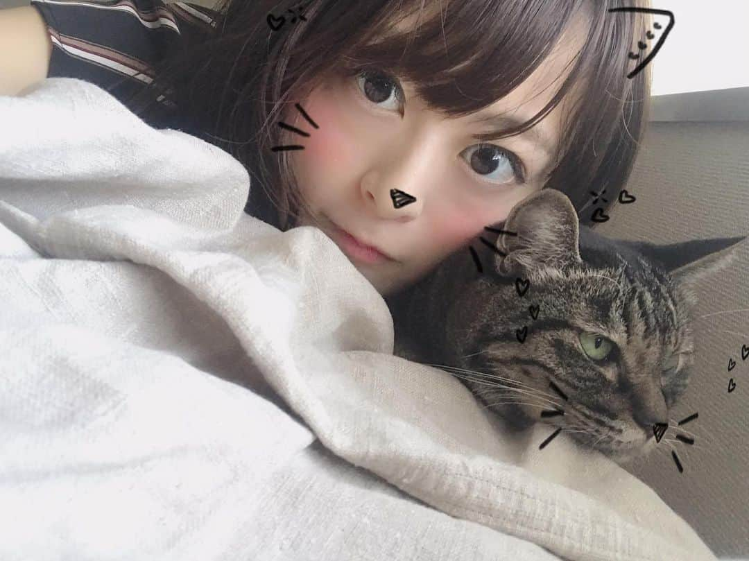 怜花さんのインスタグラム写真 - (怜花Instagram)「撮るの難しい、、 めっちゃ嫌がられた😾😹 ごめんね🙏 #猫 #ねこ #cat #キジトラ #きじとら #いい匂い」9月7日 21時21分 - reika_0419