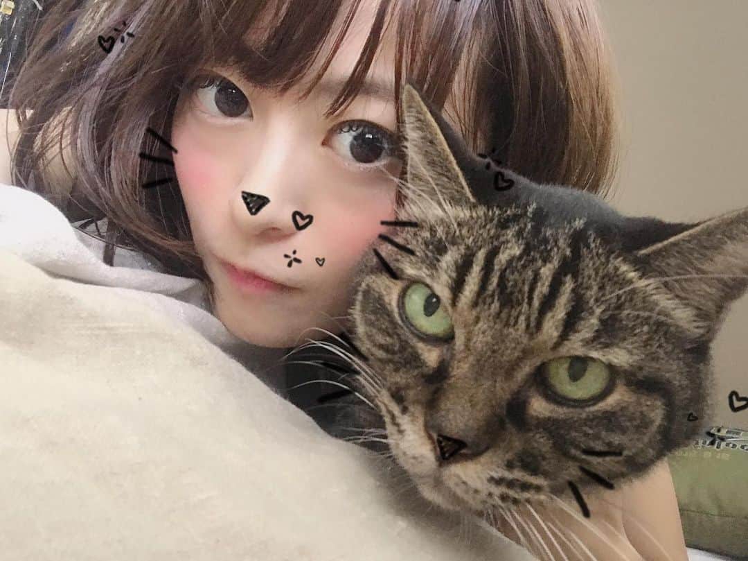 のインスタグラム：「撮るの難しい、、 めっちゃ嫌がられた😾😹 ごめんね🙏 #猫 #ねこ #cat #キジトラ #きじとら #いい匂い」