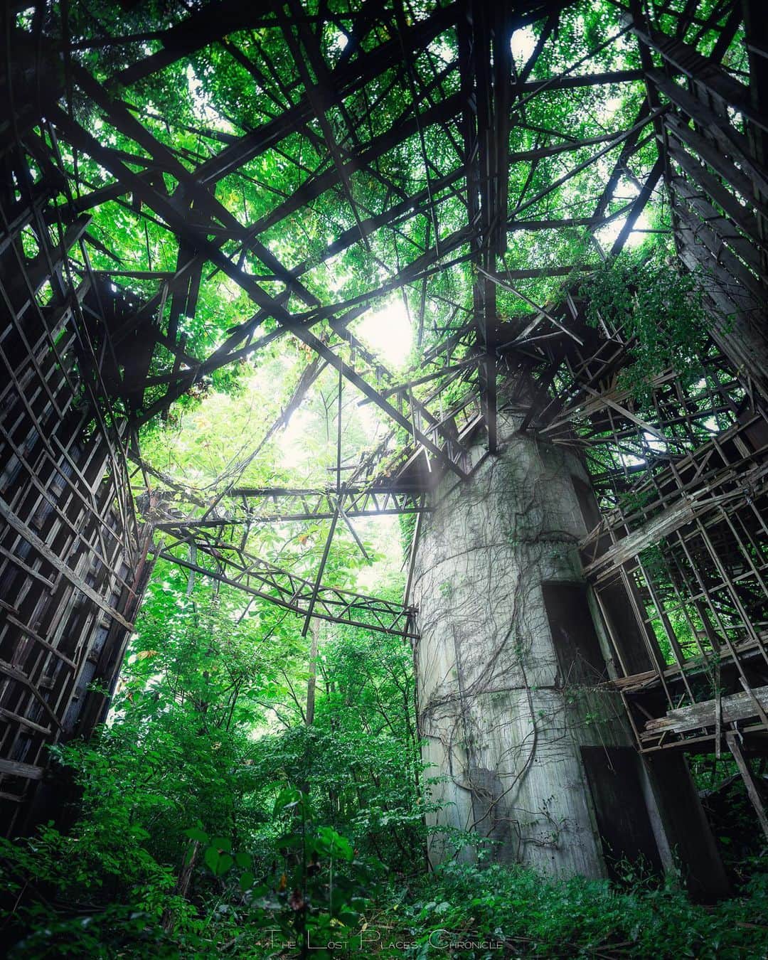 啝 （わ）のインスタグラム：「Green base 𓆲 𓆲 𓆲 #廃墟 #Abandoned #AbandoniG #allabandoned #abandonedworld #Abandonedafterdark #abandoned_addiction #abandoned_greece #abandon_seekers_ #Abandoned_Excellence #abandonedcentral #beAlpha #discarded_butnot_forgotten #DECAY_iLLife #desertedplaces #ethereal_moods #grime_nation #grime_reapers #GoTrespassing #ig_urbex #Itsabandoned #KINGS_ABANDONED #renegade_abandoned #sombrexplore #urbex_supreme #urbex_regards #urbexplaces #urbex_disciple #urbex_utopia  #japan_urbex」
