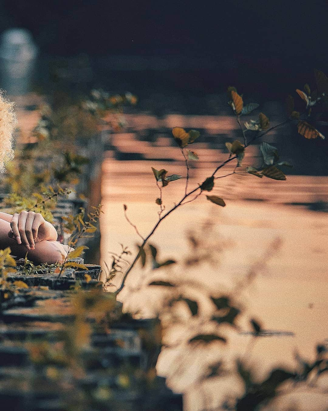 Berlin Tokyoさんのインスタグラム写真 - (Berlin TokyoInstagram)「Summer slowly glides away at twilight with unfading memories. . . W/ @taynarajoy.silvawolf . . #hellofrom #Berlin #germany」9月7日 22時09分 - tokio_kid