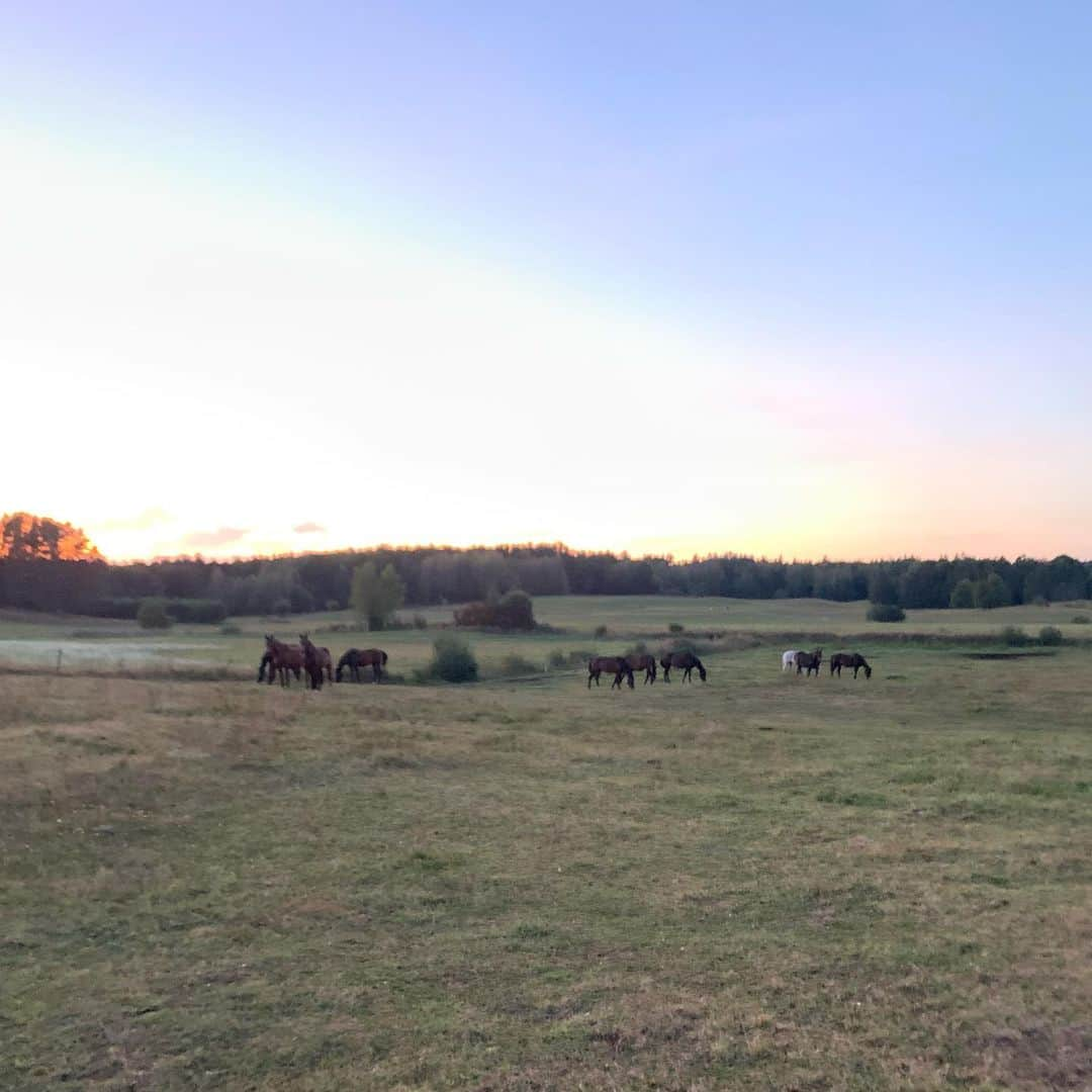 メアリー・マッカートニーさんのインスタグラム写真 - (メアリー・マッカートニーInstagram)「Location recce for my first photoshoot in #Poland - spent exploring the nature reserves.  Thank  @vogue.polska for hosting this beautiful adventure #watchthisspace」9月7日 22時19分 - marymccartney