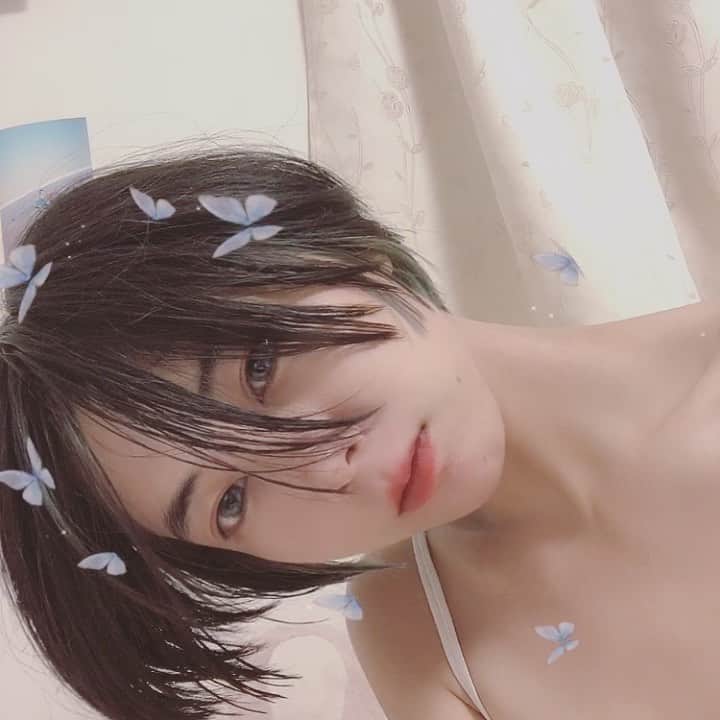 木村仁美のインスタグラム：「🦋🦋🦋 #ちゃみムービー」