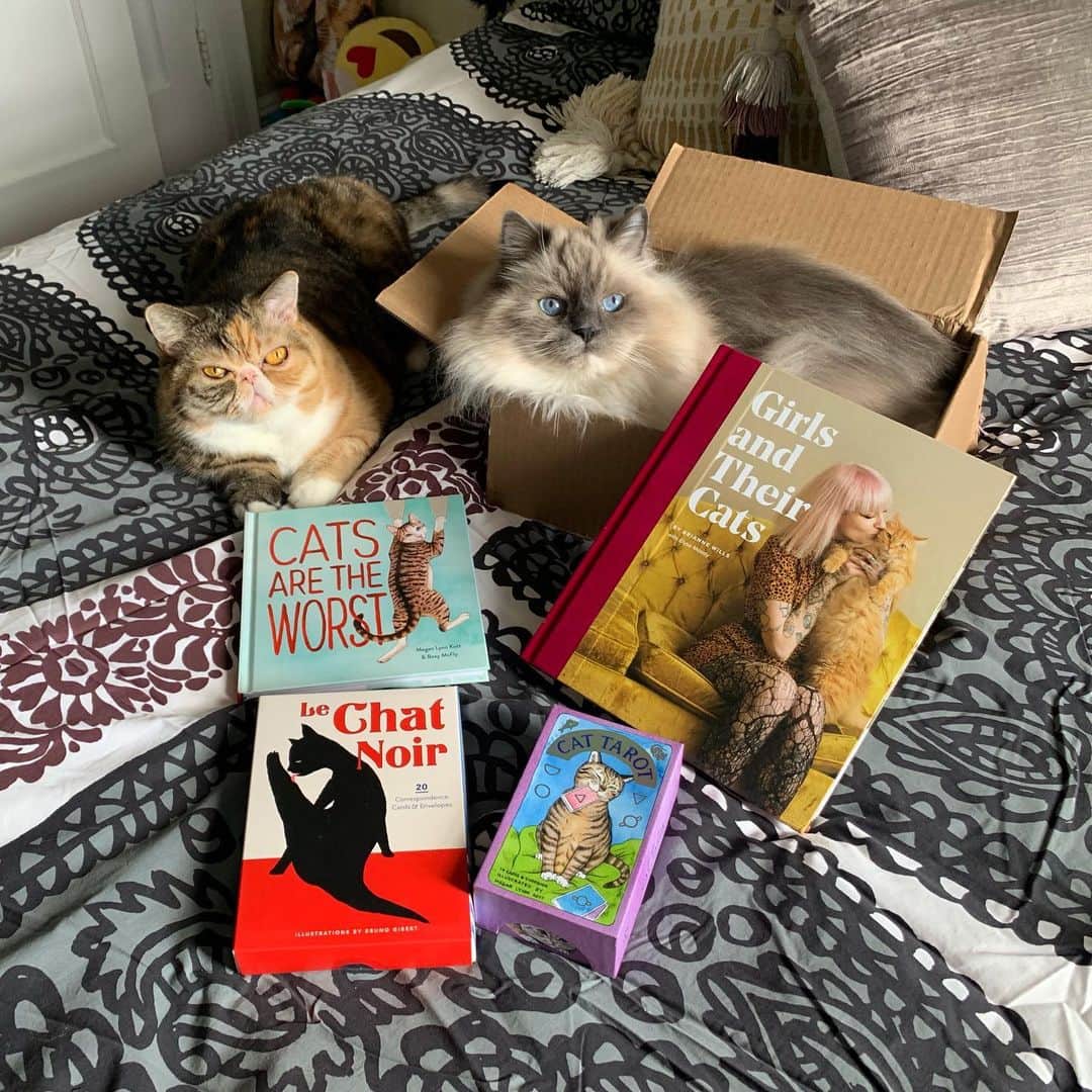 Tinaのインスタグラム：「Spending #Caturday curled up with a good book. 📚 Thanks @chroniclebooks for sending us quality cat merch, cardboard box included!😻 #Chronicats #ChronicleBooks」