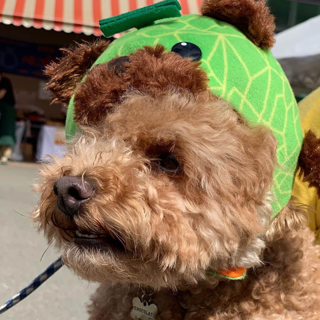 メロン熊【公式】のグルメインスタ