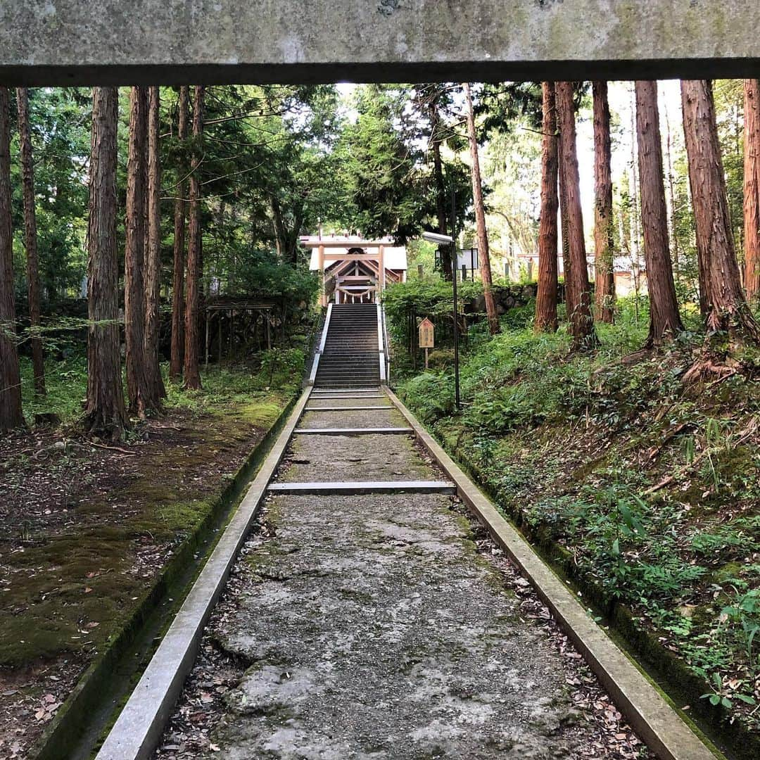 佐伯紅緒さんのインスタグラム写真 - (佐伯紅緒Instagram)「一年ぶりの真名井神社。 改装が済んでスッキリ。 参道を登っていくと途中からふっと気配が変わる、ご神気の凄さもお水の美味しさも相変わらずでした。  写真は狛犬ならぬ狛龍さん。  #真名井神社 #天橋立 #神社」9月8日 14時40分 - beniosaeki