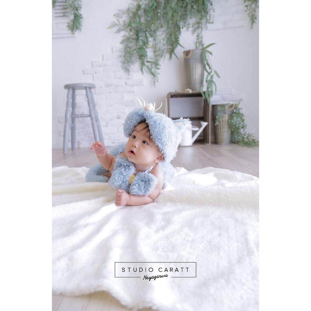 スタジオキャラット 寝屋川店のグルメインスタ