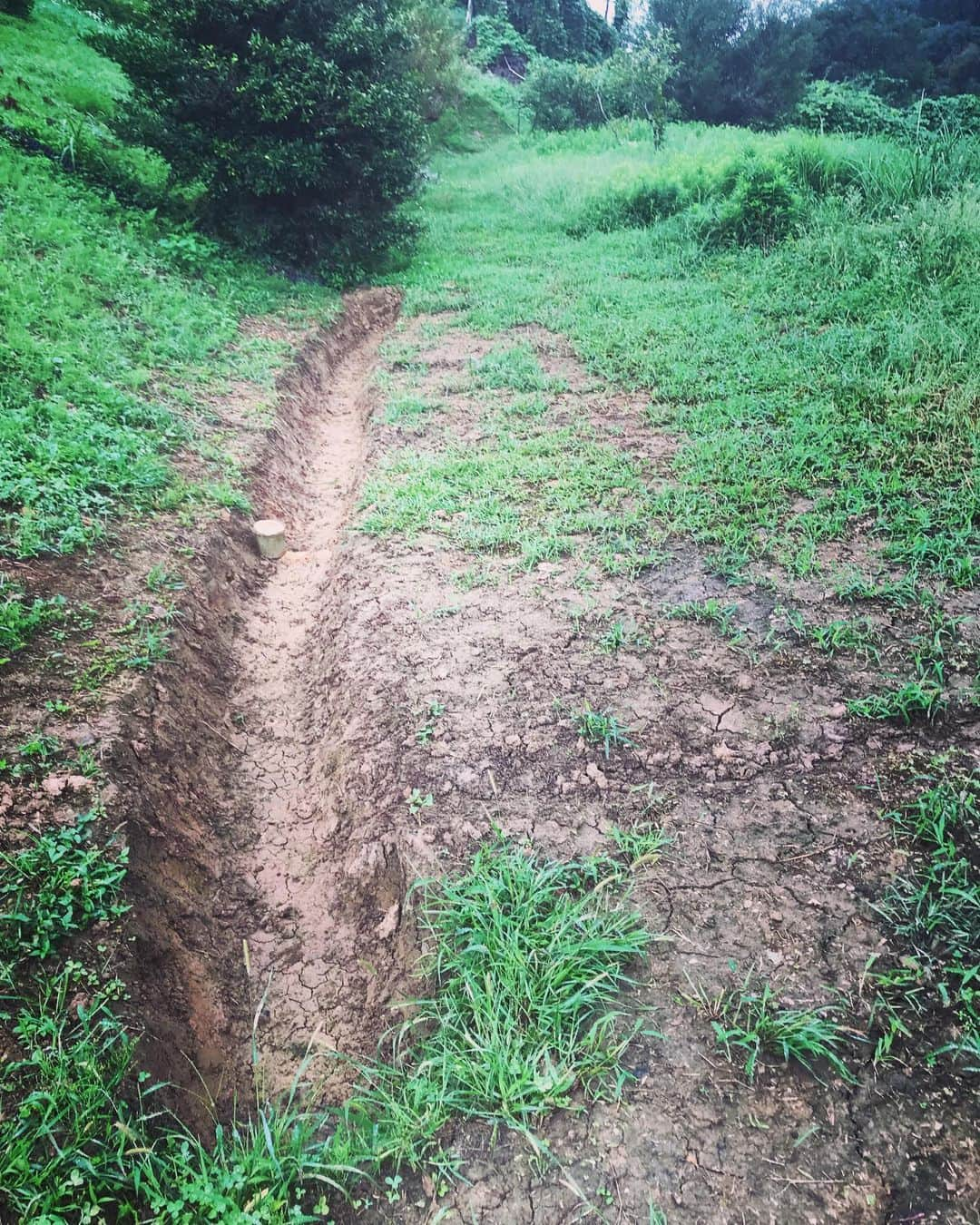 三宅洋平さんのインスタグラム写真 - (三宅洋平Instagram)「タネ団子を、こないだ掘ったSwale(水平な溝)の周りと、その時出た土の置き場に投げよーた。 何が生えてくるやろか。 #自然農 #吉備中央町 #パーマカルチャー #里山リペア」9月8日 8時04分 - miyake_yohei