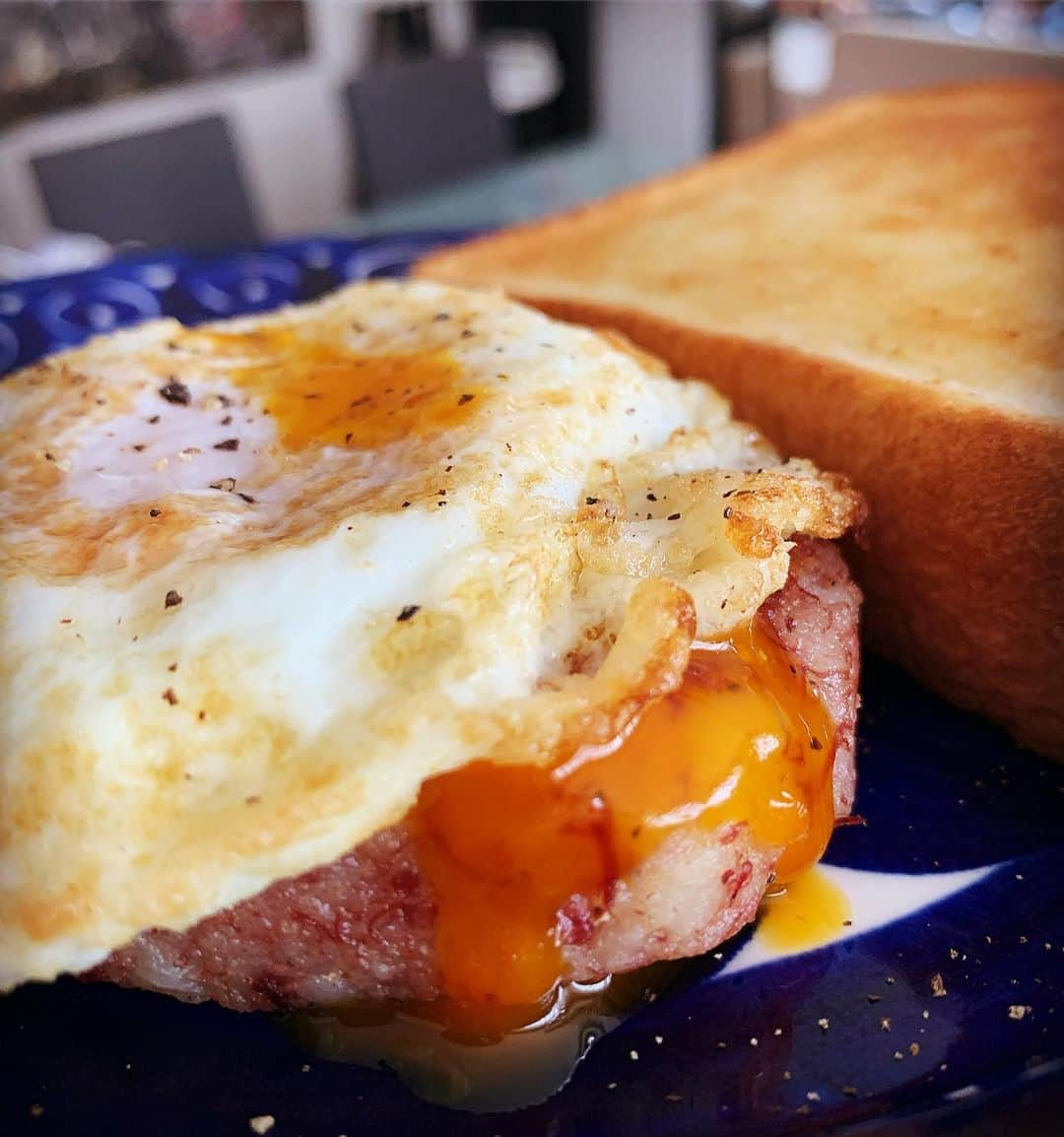 小堀ケネスさんのインスタグラム写真 - (小堀ケネスInstagram)「Breakfast Perfection. Corn beef hash with Fried Egg and Toast!😋 My father used to make me this every week.  今朝は僕のパパがよく作ってくれたコーンビーフハッシュを作りました！ ディーン君と鬼ママも気に入ってくれた〜！😊 作り方は簡単！ じゃがいもを二つ湯がいて皮をむきます。そこでじゃがいもとコーンビーフ1カンをボールに入れてコロッケを作る感じで潰して混ぜます。塩コショウをちょっと入れてハンバーグのかたちにします。フライパンにバターちょっと入れてコーンビーフハッシュを両面こんがり焼きます。お好みで目玉焼きを焼いて乗せれば完成！ バタートーストでお召し上がり下さい。😊 お子様も大好きだと思いますので皆さんもぜひ作ってみてください！👍 では最高な日曜日お過ごしください！☀️ #notdrunk #daddycooking #cornbeefhash #littlledean #mommy #happy #sunday #パパ料理 #コーンビーフハッシュ #鬼ママ #ディーン君 #満足 #ハッピーサンデー  @mariakamiyama」9月8日 8時07分 - kenkob0903