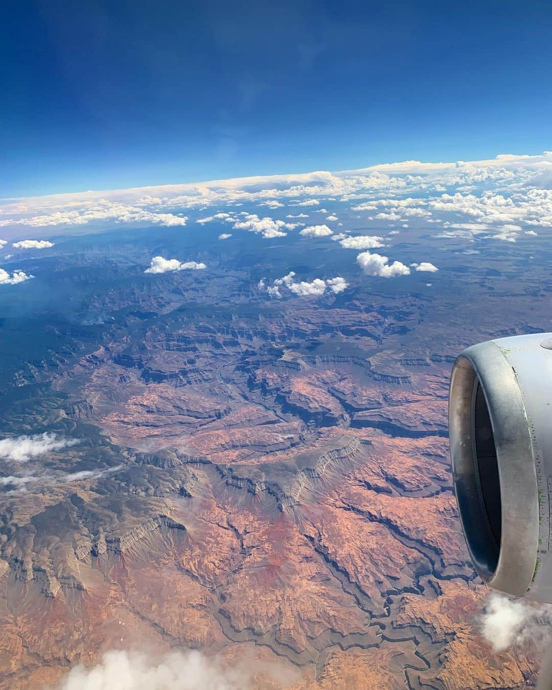 エミリー・スワローさんのインスタグラム写真 - (エミリー・スワローInstagram)「I’m glad nature doesn’t get Botox. @grandcanyonnps #crosscountryflight #LAX—>NYC #upintheair #travel #grandcanyon @nationalparkservice」9月8日 9時47分 - bigeswallz