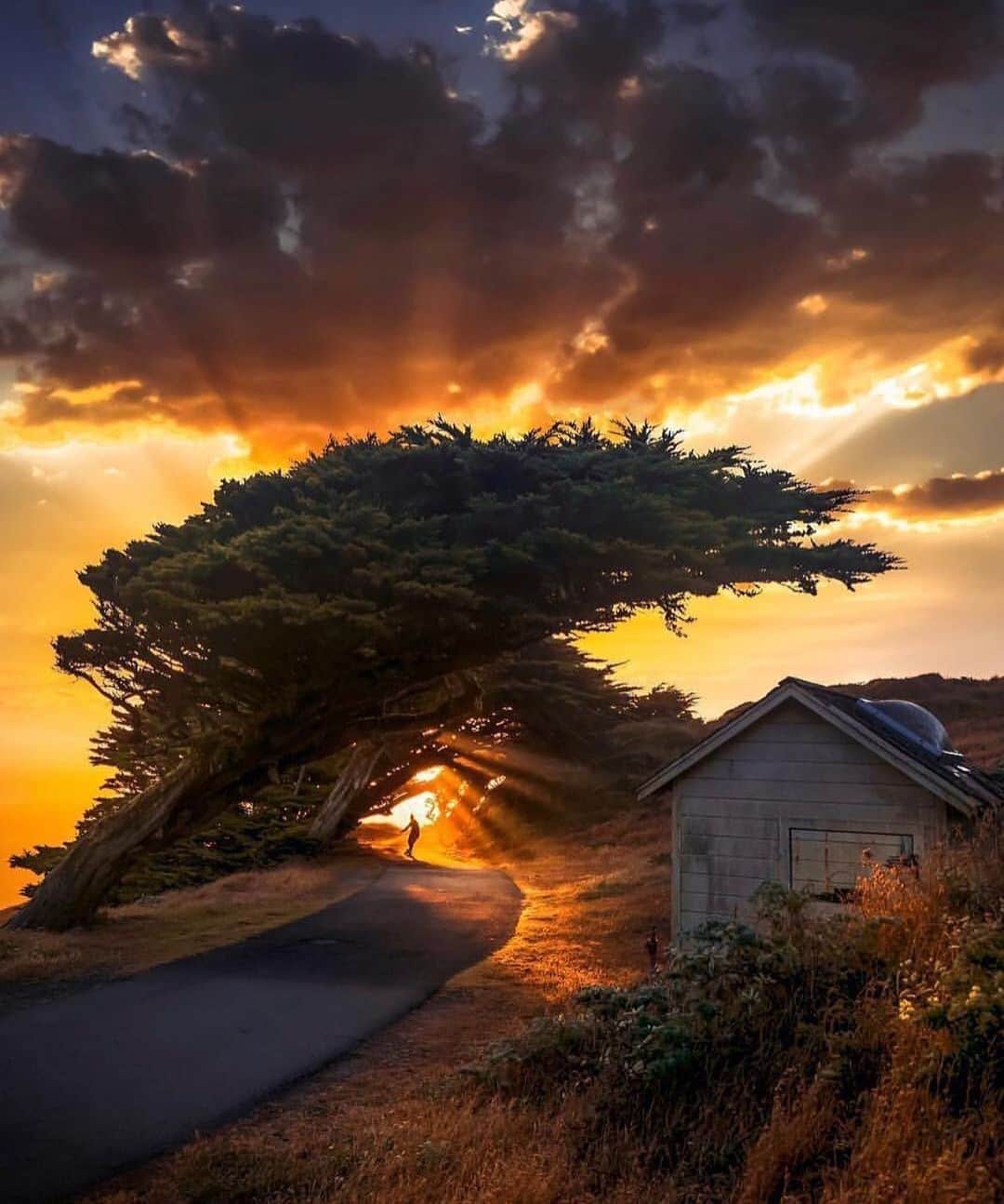 Earth Picsさんのインスタグラム写真 - (Earth PicsInstagram)「Shine through 🌅 Point Reyes California 🇺🇸 by @erikmarthaler」9月8日 15時42分 - earthpix