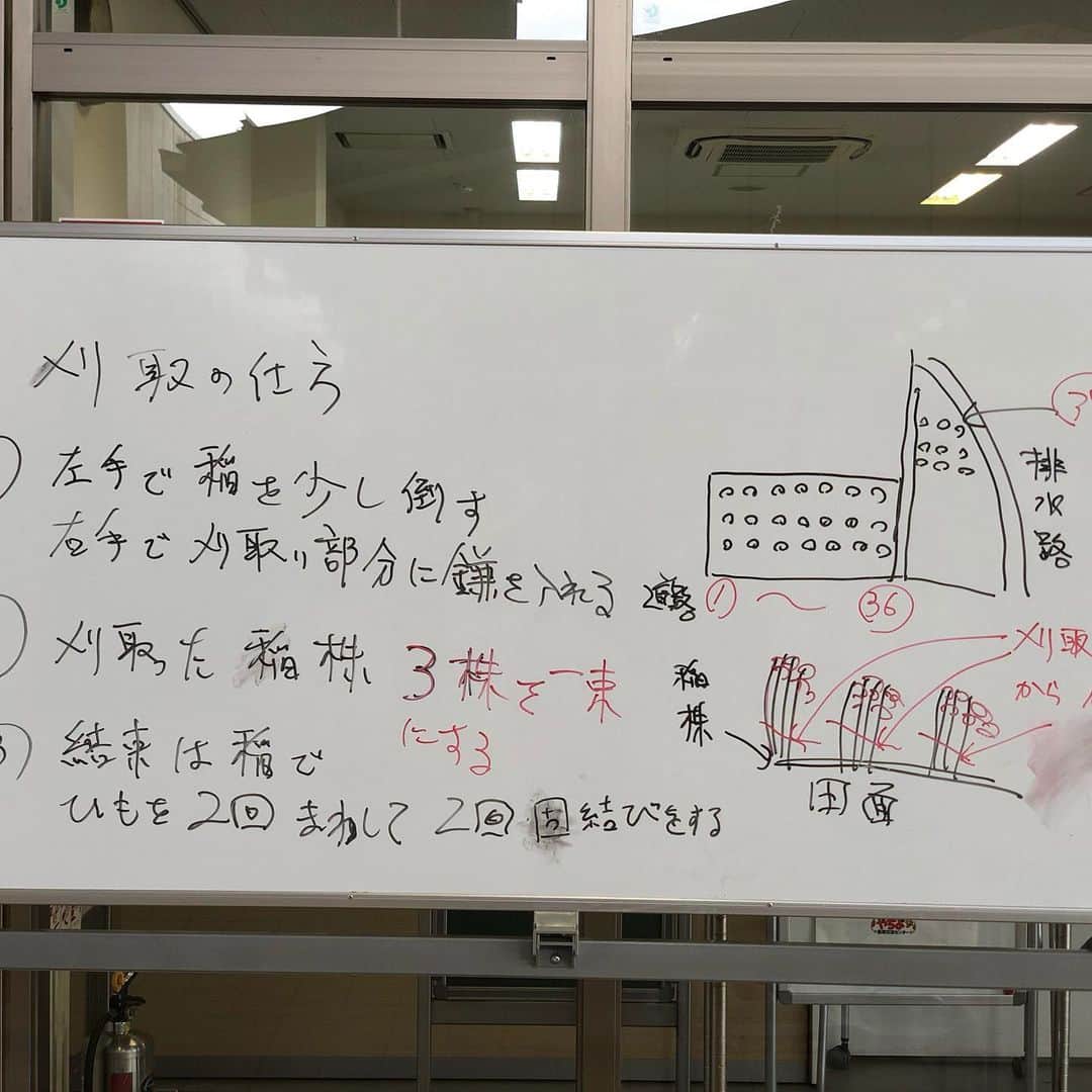 道の駅やちよのグルメインスタ