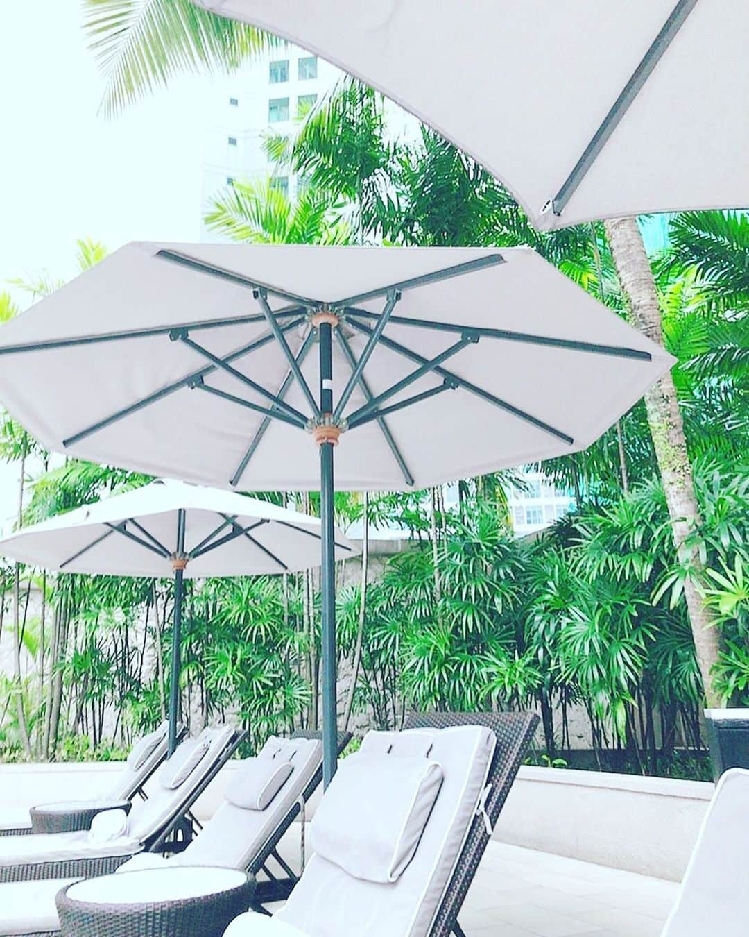 東條恭子さんのインスタグラム写真 - (東條恭子Instagram)「. chillax😎🌴🖤🖤🖤 . . . . #hotellovers #ritzcarlton #ritzcarltonkualalumpur #vacation #旅行 #旅行大好き #旅行好き #旅行好きな人と繋がりたい #旅行好き女子 #海外旅行 #海外旅行好きな人と繋がりたい #海外旅行大好き #ビジョビ #relax #relaxing #relaxing_time #malaysia #kl #kualalumpur #夏休み #水着 #girlsswimwear #swimwear #pool #bikini #bikinigirls #ビキニ #プール #サテン」9月8日 10時39分 - kyoko_tojo