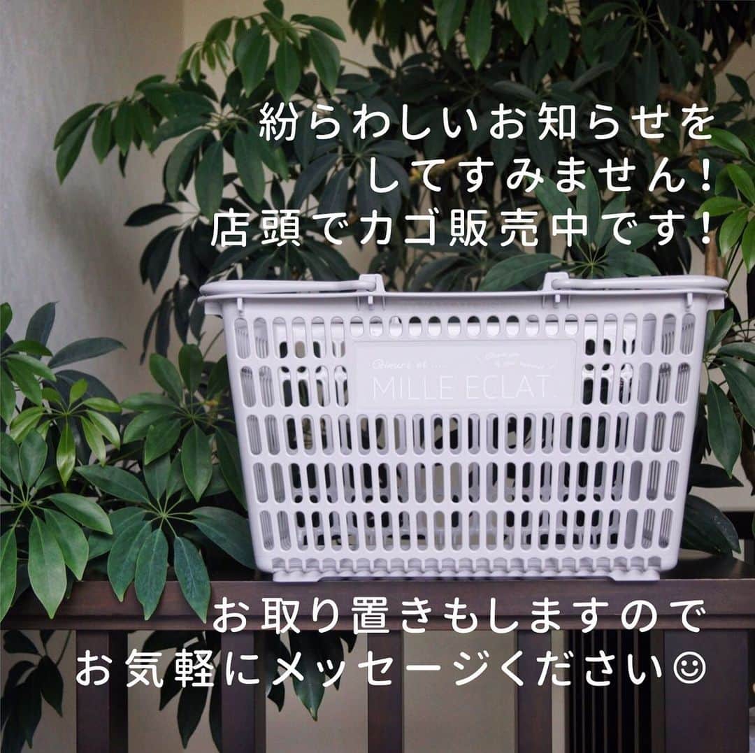 MILLE ECLAT.のグルメインスタ